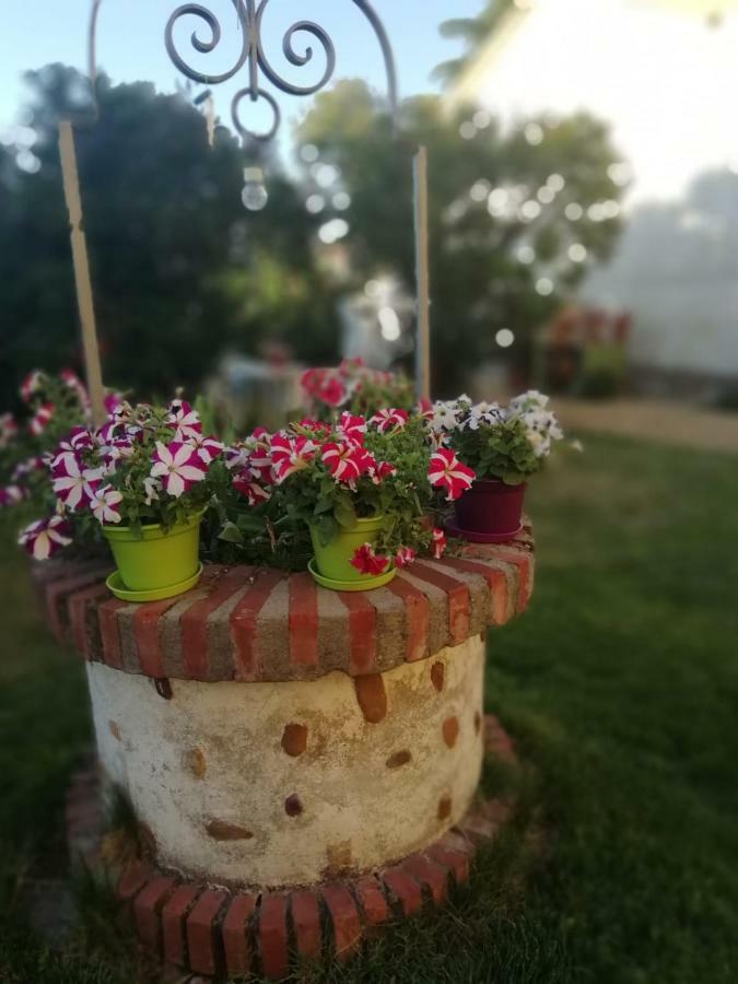 San Andrés del Rabanedo Boleta A 5 Minutos De Leon, Casa Con Jardin 빌라 외부 사진